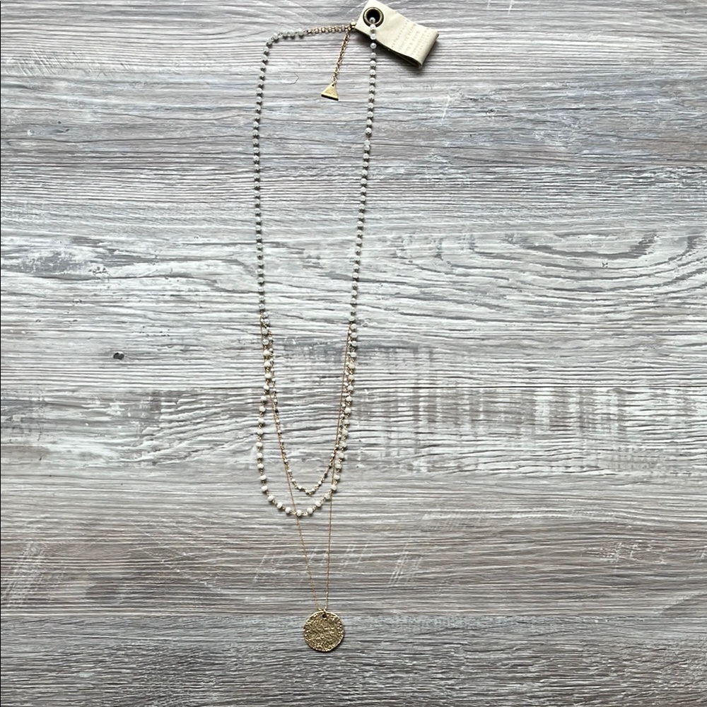 Anthropologie Elegant Gold and Silver Layered Necklace